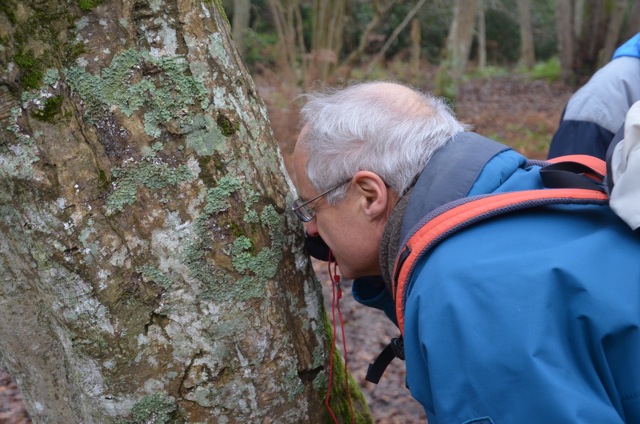 2011 12 A la découverte des lichens 23